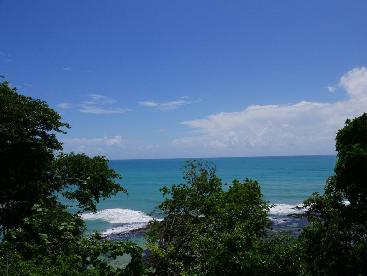 Enseada Dos Golfinhos Praia de Pipa